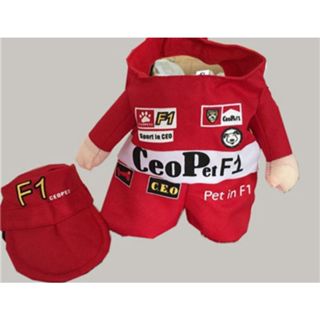 Costume F1-Driver